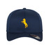 Flexfit Cap -HDCC