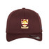 Flexfit Cap -BRAIN