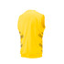 Coloured Sleeveless Slipover -EASTCC