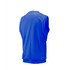 Coloured Sleeveless Sweater -WESTCOTT2