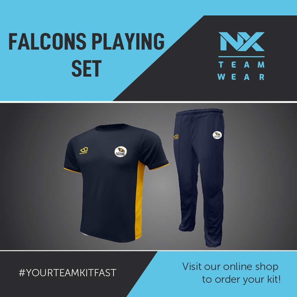 FALCONS PLAYING SET