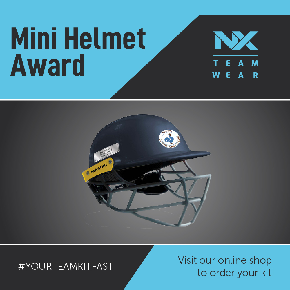 Mini Helmet Award
