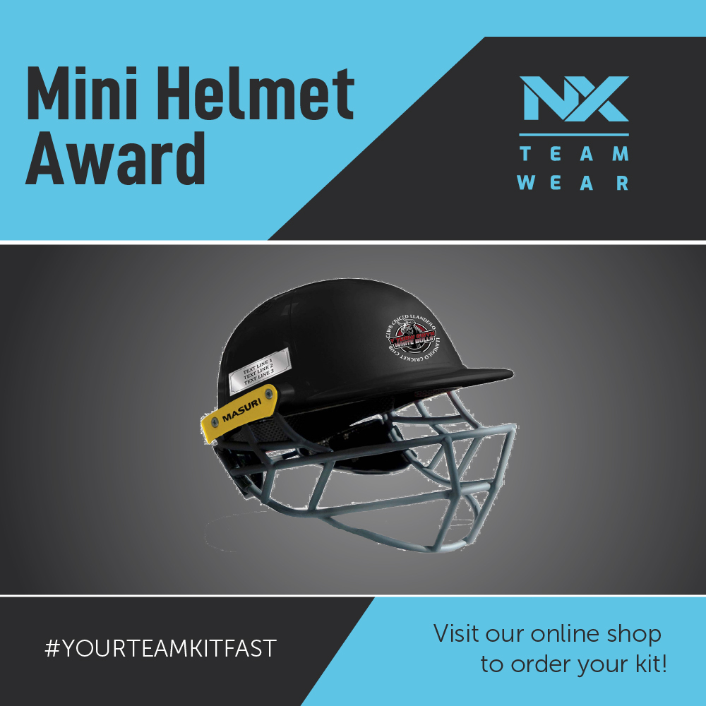 Mini Helmet Award
