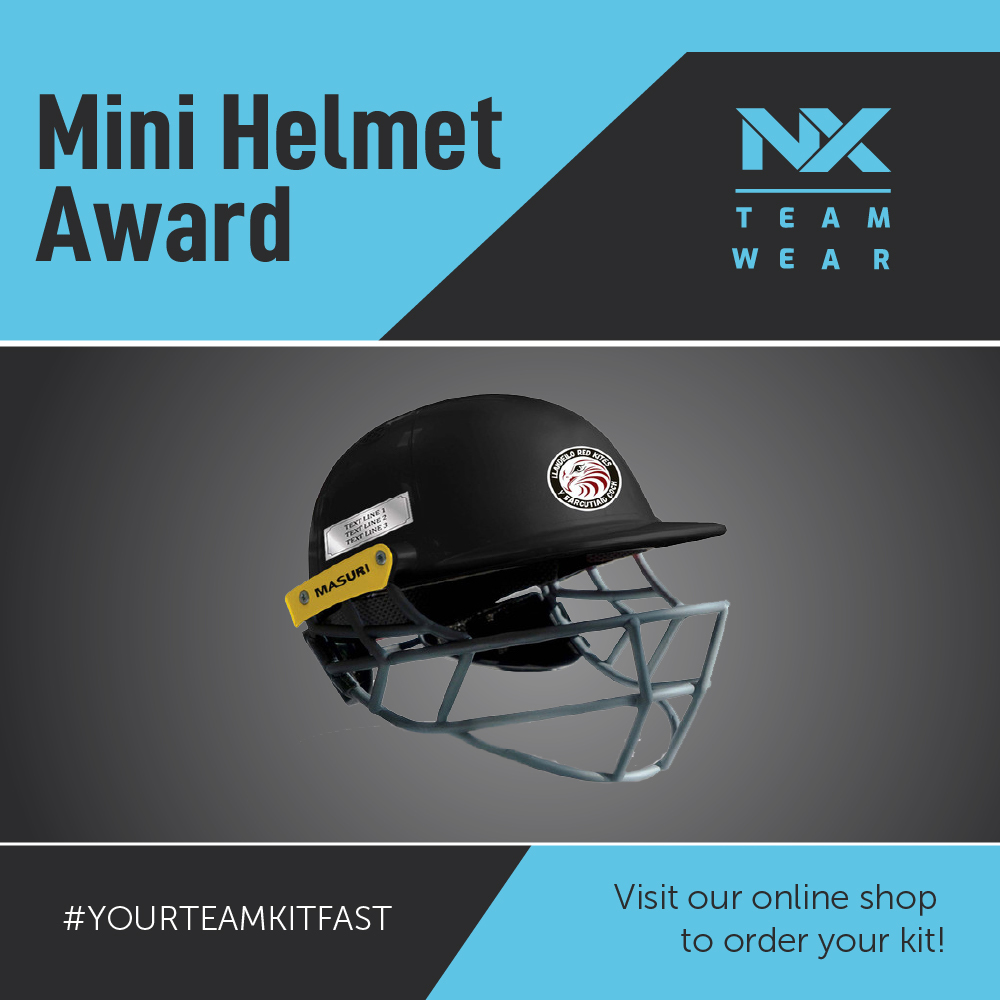 Mini Helmet Award