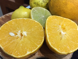 Lemons (Meyer) Chemical Free Local - per kg