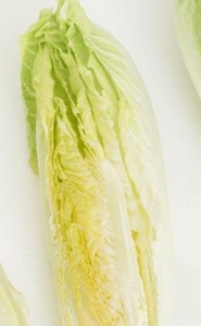 Lettuce (Cos) SMALL Organic - each