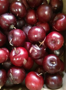Plums (Blood - Mariposa) Organic - per kg