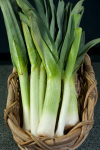 Leeks Organic - each