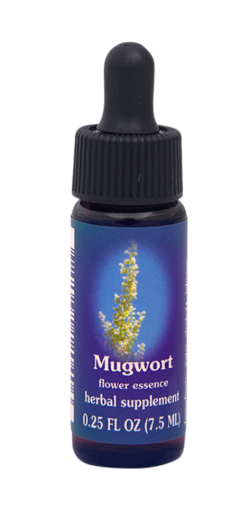 Mugwort Flower Essence Organic Herbal Supplement 7.5ml -  FES OrganicQuintessentials