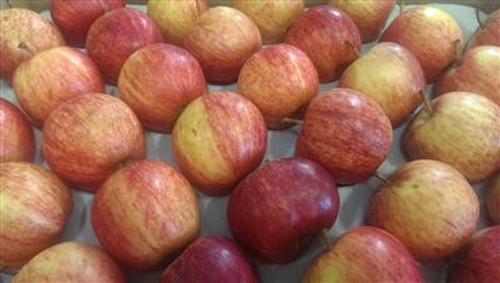 Apples (Gala) Organic per half kg