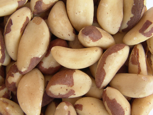 Brazil nuts Organic Bulk 100g - ONS