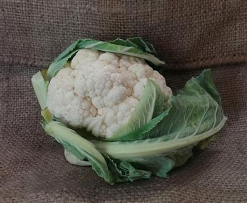 Cauliflower (White) Organic - Whole