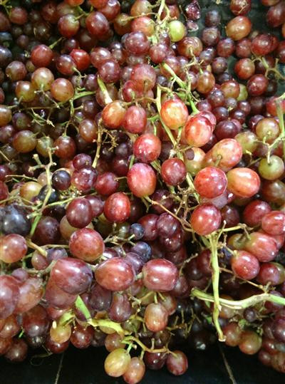 Grapes (Ralli Seedless) Organic - per kg