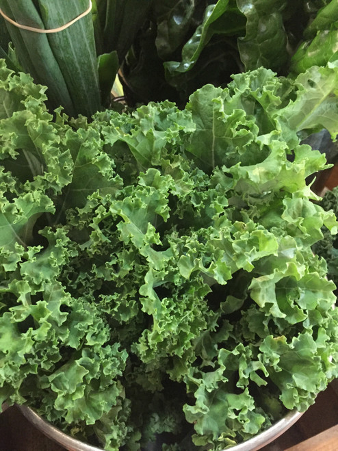 Kale (Green Curly) Organic - Bunch