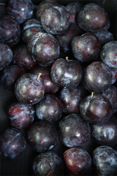 Plums (Black Amber/Amber Jewel) Organic - per 100g
