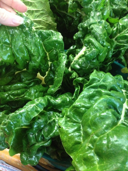 Silverbeet|Chard (Green) Organic -  Bunch