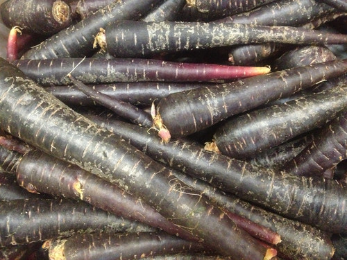 Carrots (Purple) Organic - per kg