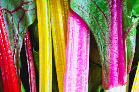 Silverbeet|Chard (Rainbow) Organic - Bunch