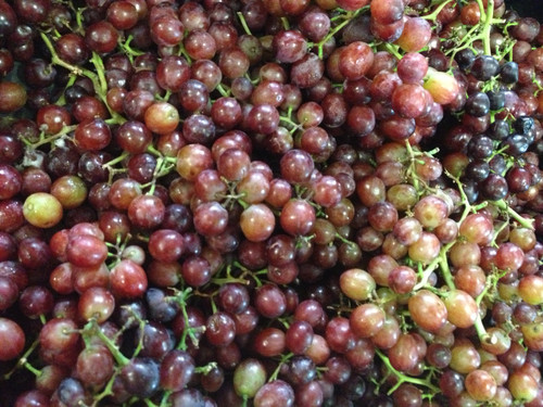 Grapes (Ralli Seedless) Organic - per 100g