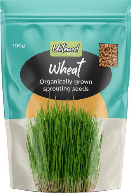 Wheat Seeds Sprouting Organic 100g - Untamed Health