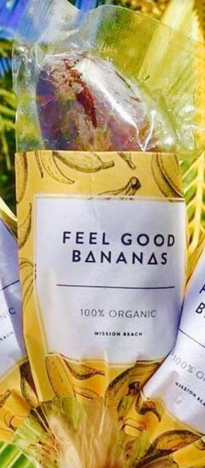 Choc coated Banana Frozen Organic SINGLE - Feel Good Bananas (Instore Only)