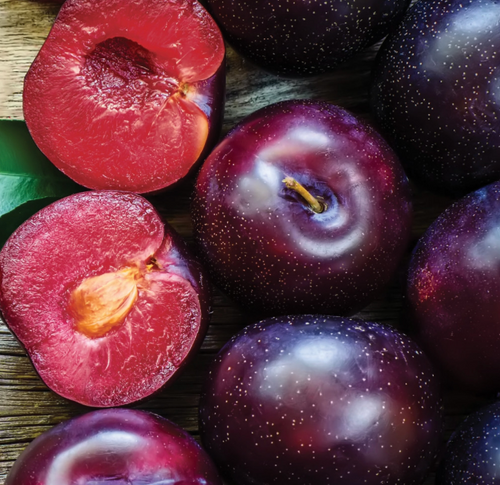 Plums (Donsworth - Japanese Blood Plum) Biodynamic Organic - per 100g