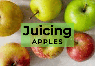 Apples JUICING Grade (vary - Red or Green depends on the week) Organic - per kg