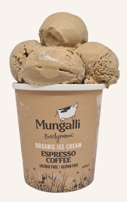 Espresso Coffee Ice Cream Lactose Free Organic 475ml - Mungalli