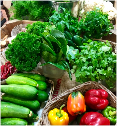 store-pic3.jpg store-pic3.jpg