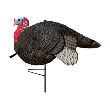Primos Gobbstopper Jake Turkey Decoy – Realistic Lightweight Design P69066