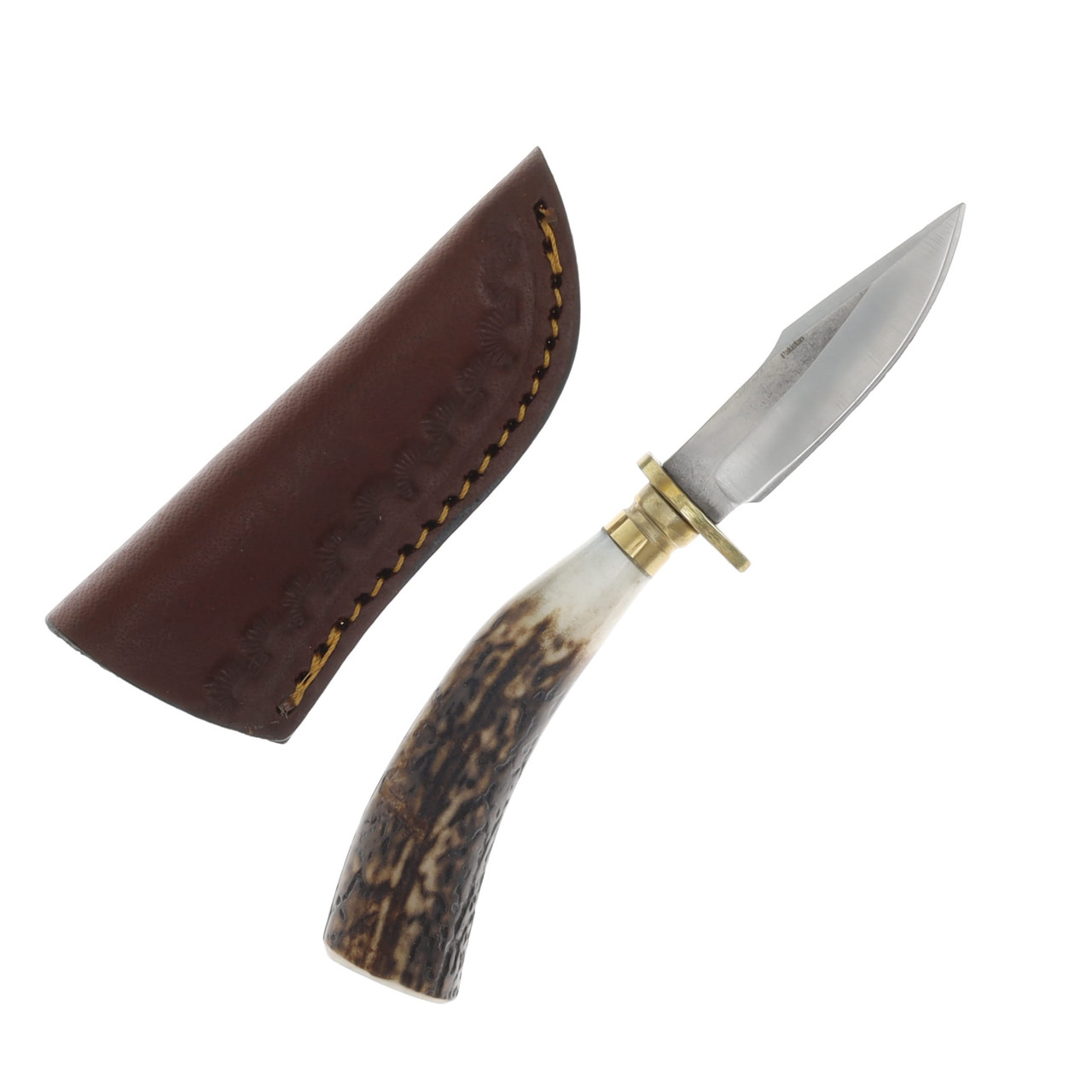 SZCO Supplies Small Stag Fixed Blade Skinner Knife 2.25in Clip Point