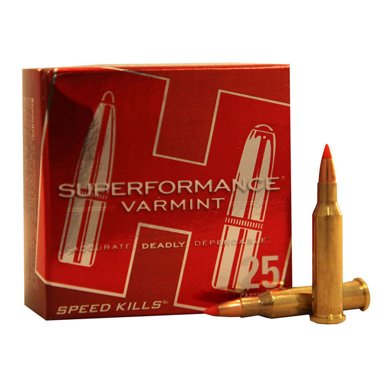 Hornady Superformance Varmint 17 Hornet Ammunition 20 Grain Brass Centerfire 20 Rounds V-Max Spitzer