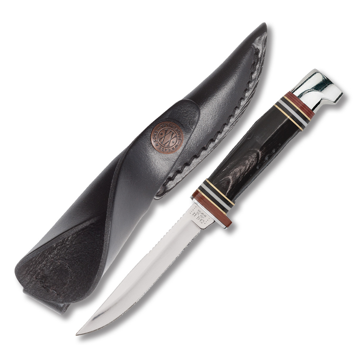 Case Buffalo Horn Mini FINN Hunter Fixed Blade Knife CA17916