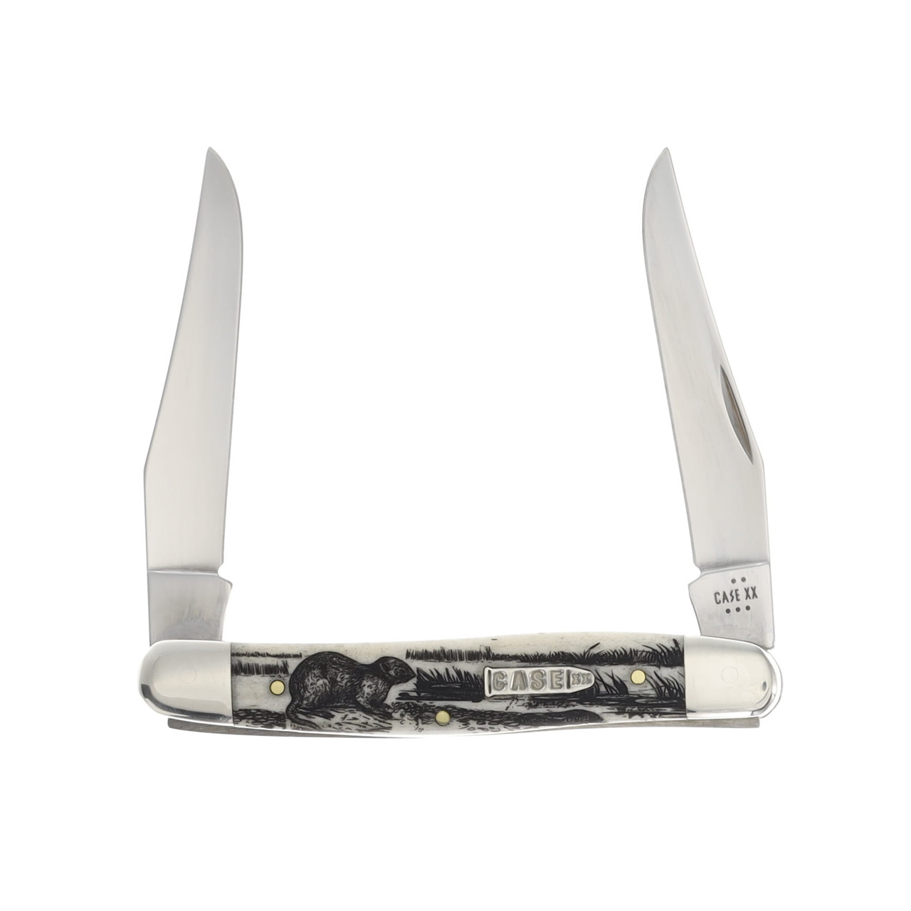 Case "Muskrat" Smooth Naturl Bone Muskrat Bullet Shield