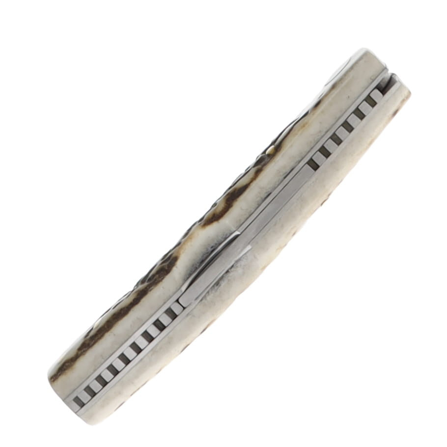 Joker Becada Lockback Folder Stag Bone Handle 3in Satin 14C28N