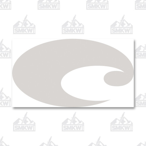 Costa Reflective Logo Silver