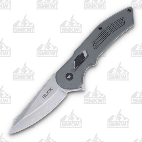 Buck Assisted Opening Hexam Grey Folding knife