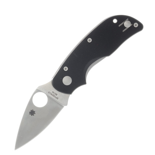 Spyderco Cat Folding Knife Black G10 2.5in Satin Plain Edge Blade SPC129GP