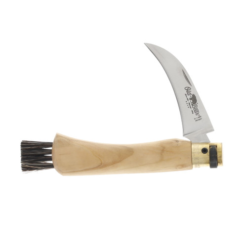 Antonini Knives Old Bear Mushroom Folding Knife Olive Wood Satin Blade 9387/19_LU
