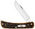 Case XX Kinfolks Jigged Molasses Bone Sod Buster Jr Folding Knife CA12774