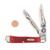 Case XX Red Pickbone Indian Head Penny Trapper Folding Knife Gift Set CATIHPRPB