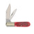 Steel Warrior Red Pickbone Barlow Folding Knife FRSW163RPB
