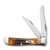 Case 6.5 BoneStag Mini Trapper Folding Knife