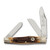 Colonel Coon Reverse Gunstock Stockman Pocket Knife