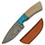Rite Edge Stubby Skinner Bone and Turquois 4 Inch Plain Drop Point 2