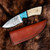 Rite Edge Stubby Skinner Bone and Turquois 4 Inch Plain Drop Point 1