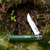 Opinel No 08 Colorama Folding Knife Forest Green