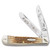 Case Trail of Tears Trapper Folding Knife CATTT