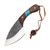 Condor Blue River Skinner Knife Walnut/Turquoise Fixed 3.9in Blade CTK112354