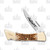 Case Amber Jigged Bone Hammerhead Lockback Folding Knife